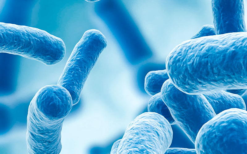 PRÓBACILUS – O composto de probióticos que faltava para sua saúde.